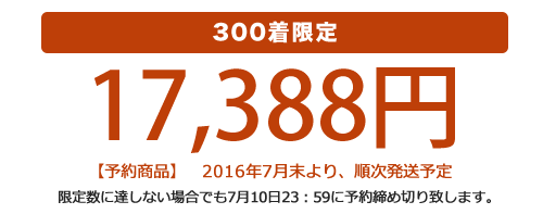 300着限定　17,388円